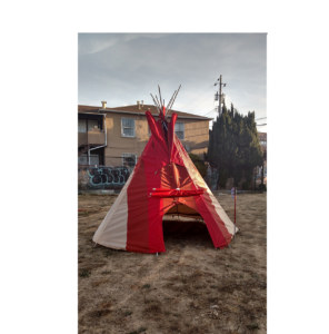 Earthlodge, original