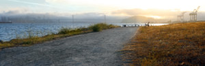 A view from Middle Harbor Shoreline in Oakland