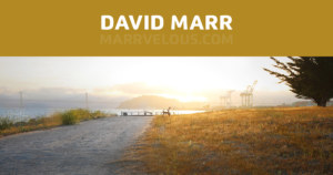 Portfolio of David Marr