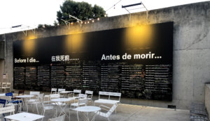 Before I Die